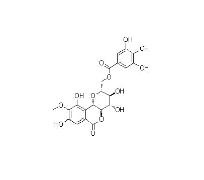 11-O-沒(méi)食子酰巖白菜素|82958-44-9